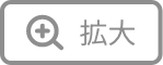 拡大ボタン