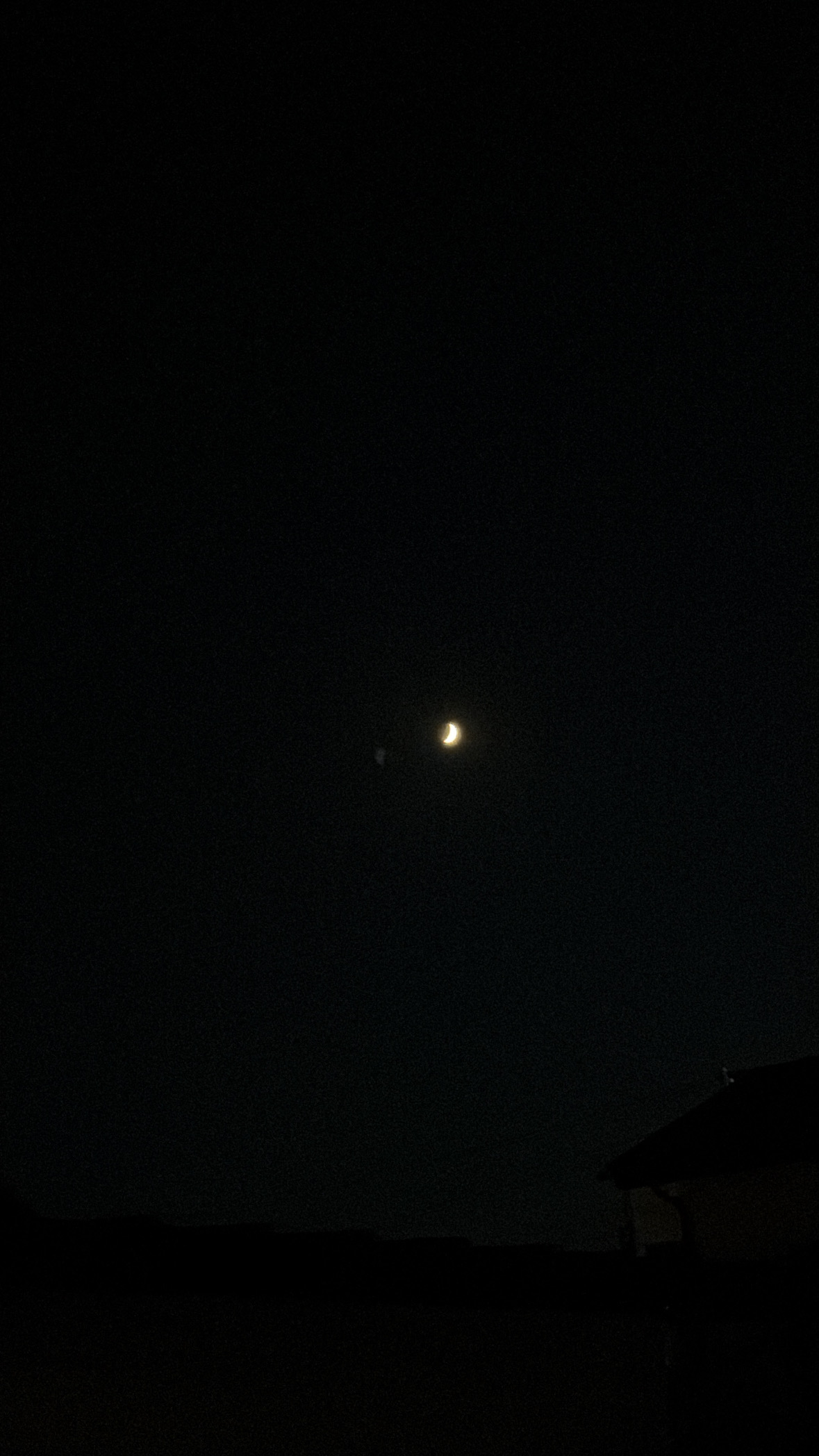 プロフィール写真