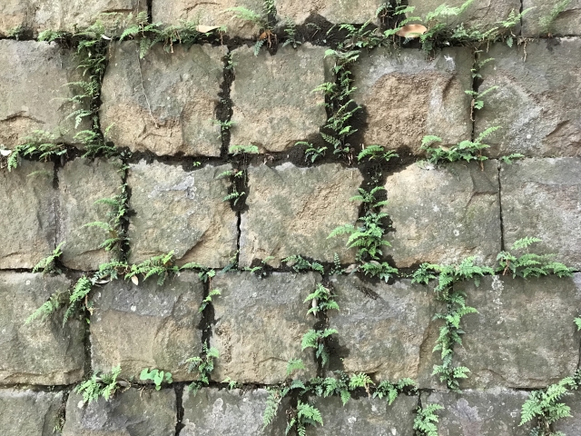 間知石(けんちいし)という擁壁